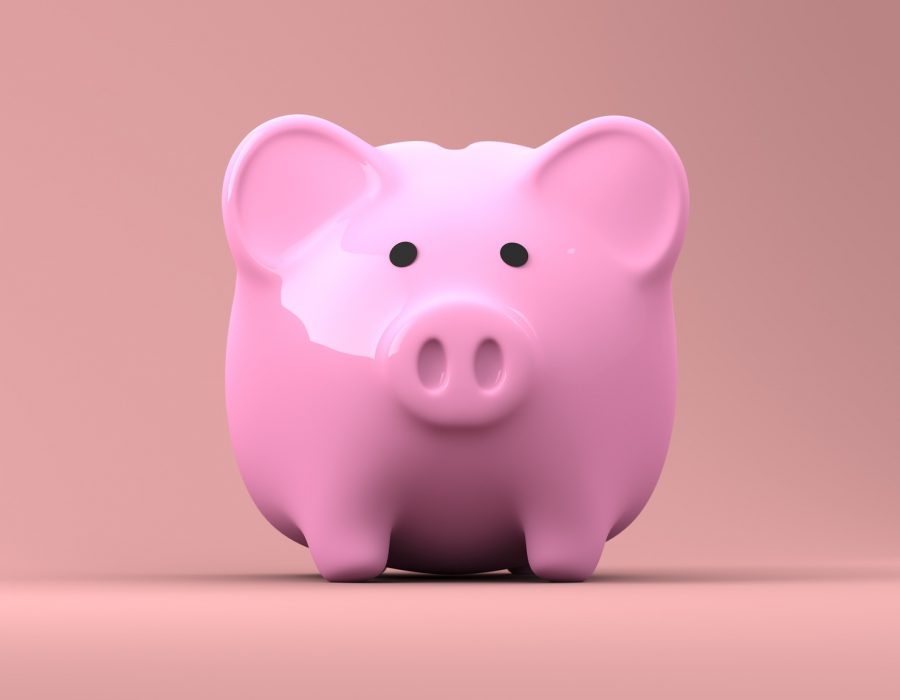 money-piggy-bank