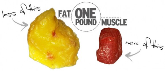 Does Muscle Weigh More Than Fat?