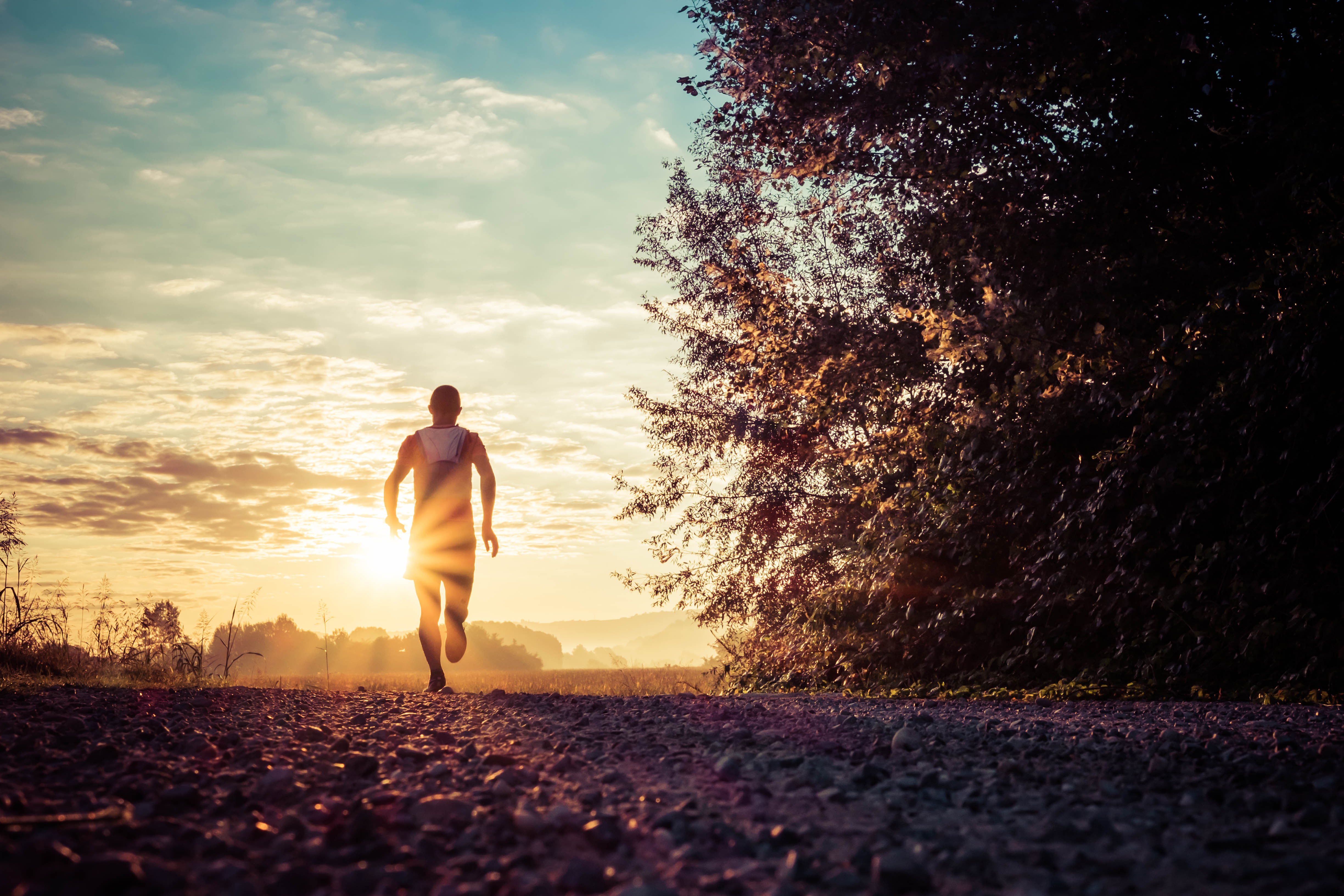 Fitness: When is the Best Time to Workout?